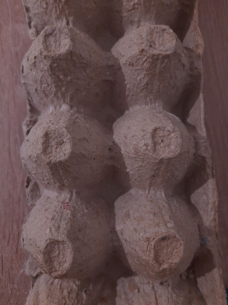 Photograph by Диана Потапова