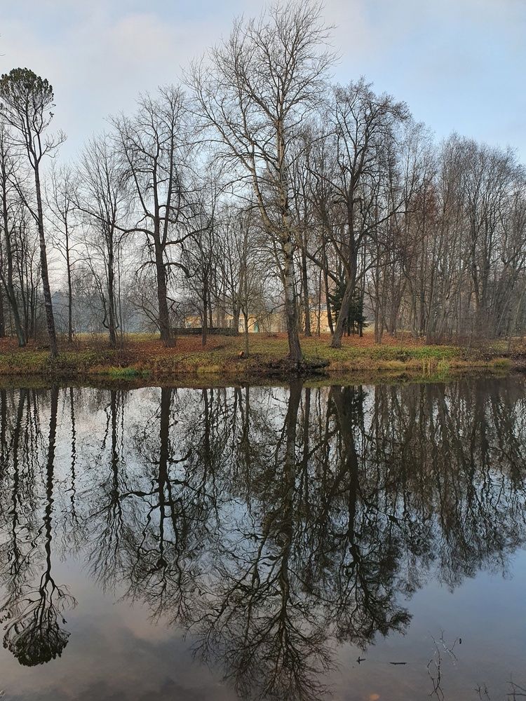 Photograph by Дьяченко Нина