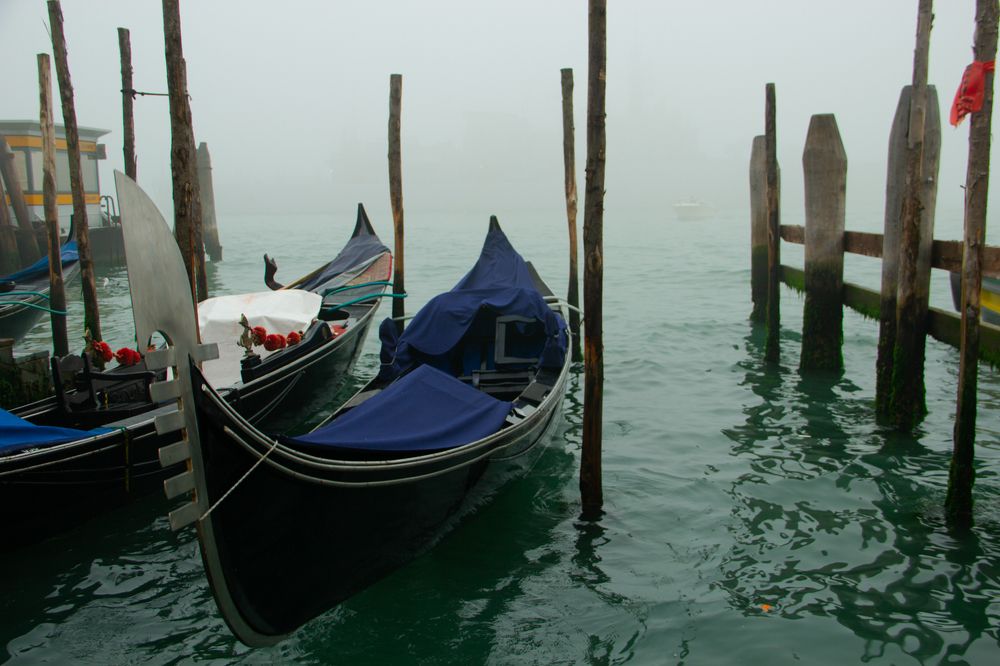 Photograph by Людмила Авдеевская