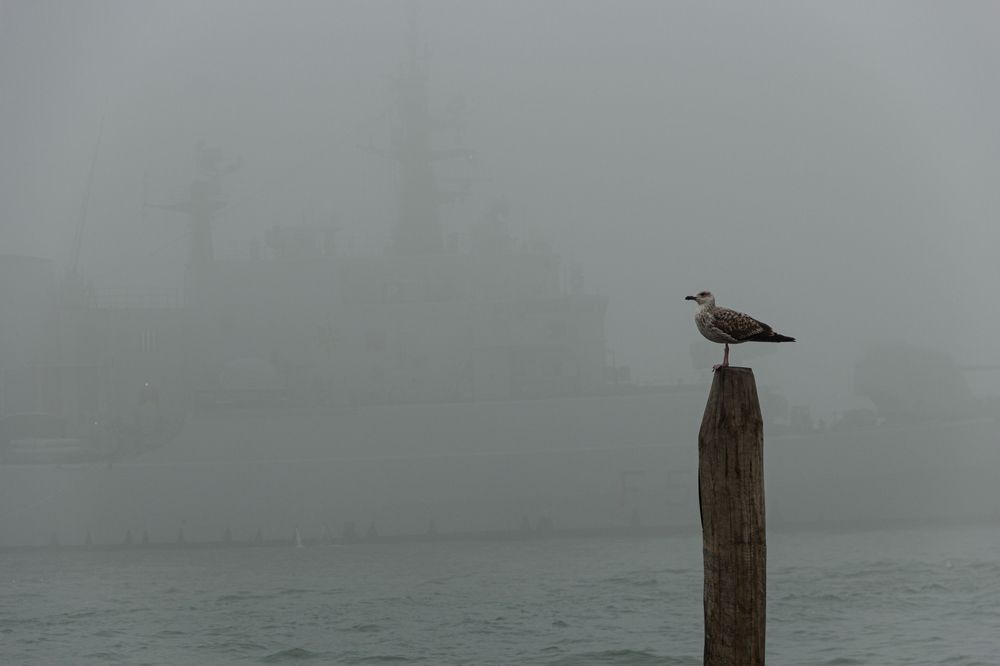 Photograph by Людмила Авдеевская