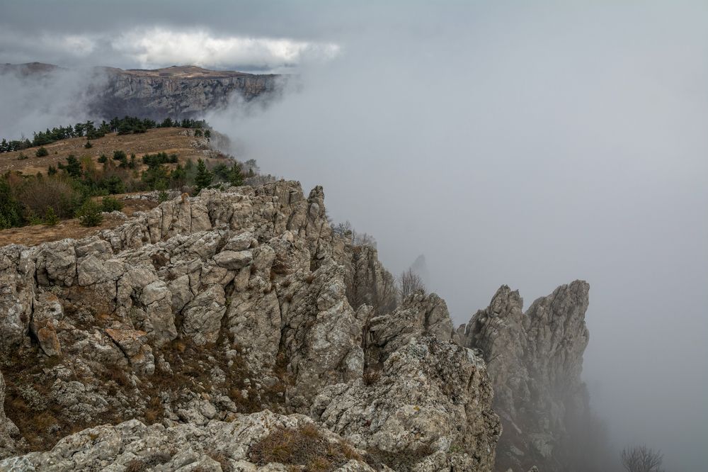 Photograph by Елена Ковалева