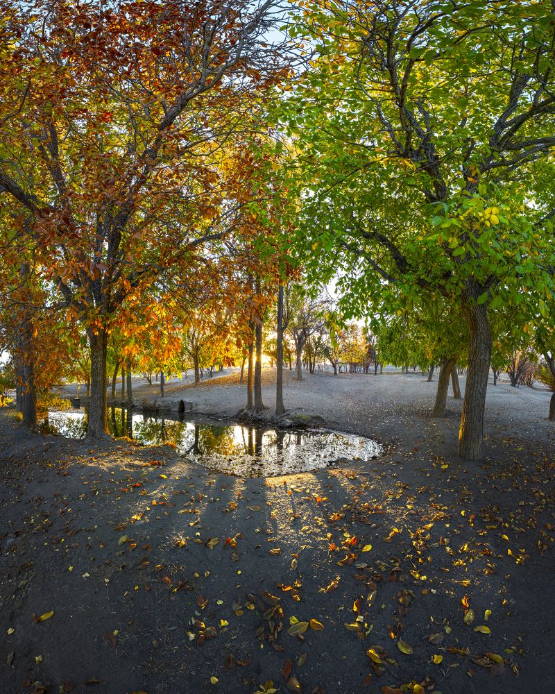 Фотография автора majid arab