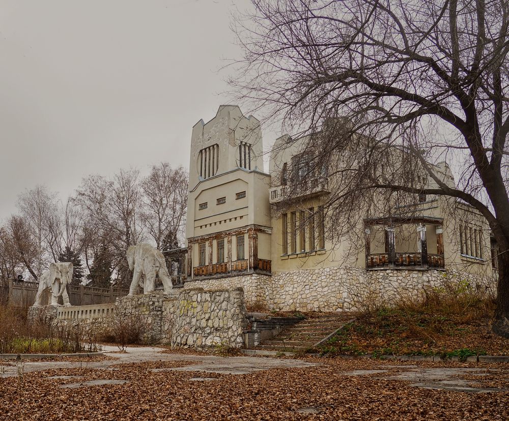 Дом со слонами