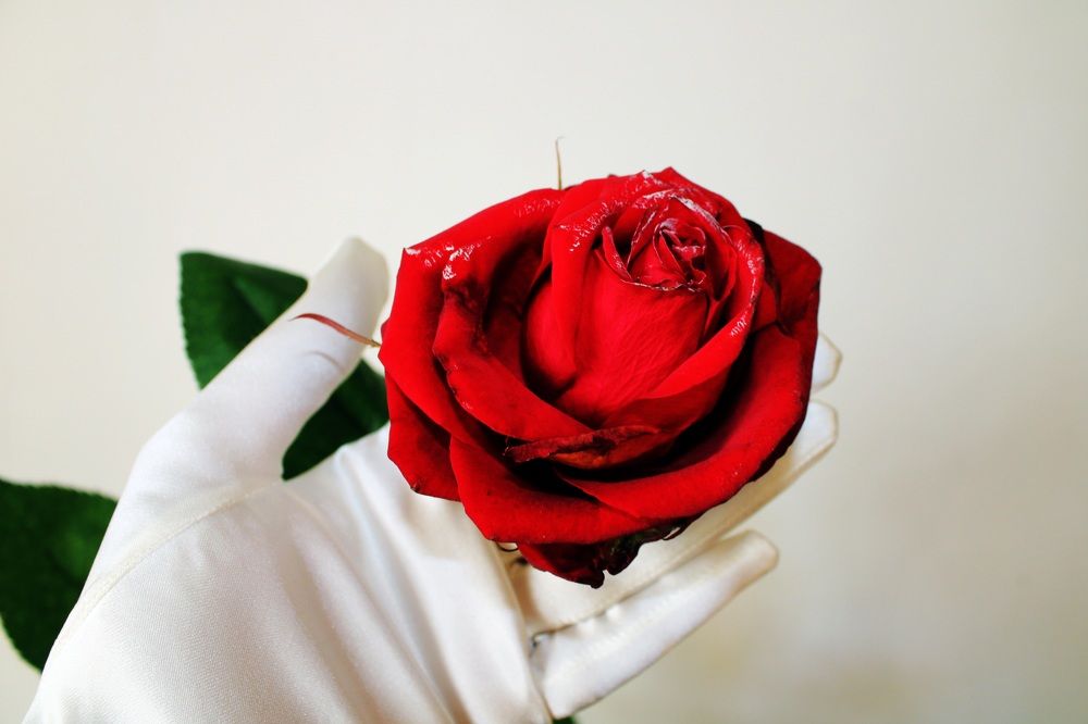 Photograph by Юлия Мылык