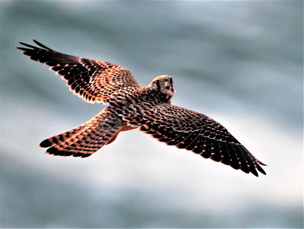 Photograph by Кирилл Соколов