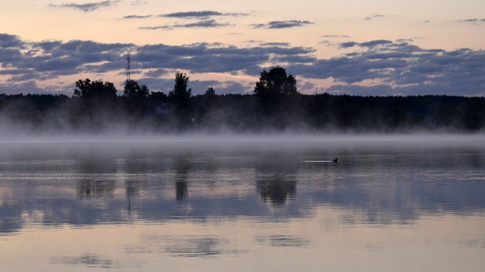 Сиреневый туман / Lilac fog