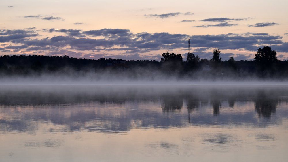 Сиреневый туман / Lilac fog