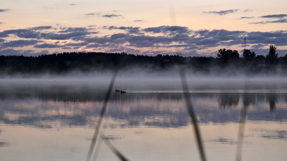 Утренняя разминка / Morning warm-up