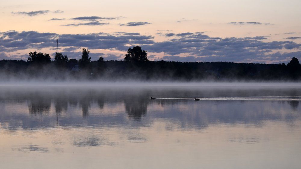 Утренняя прогулка / Morning walk