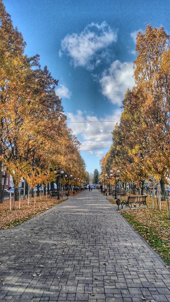 Photograph by Дарья