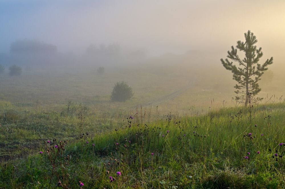 В тумане тают очертания