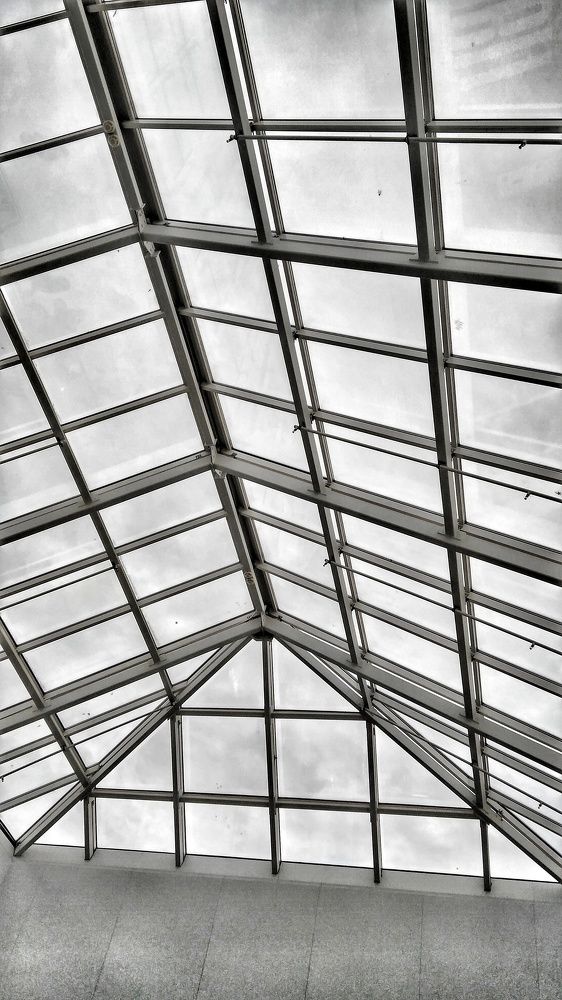 Photograph by Дарья