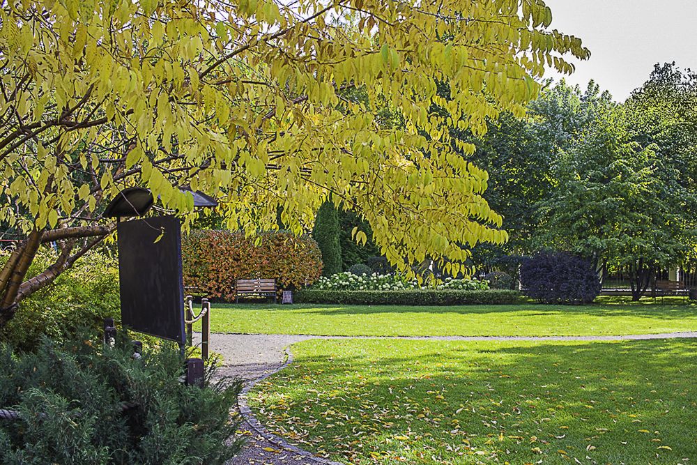 Photograph by Елена Шахова