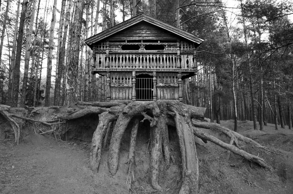 Photograph by Irina Stsiapanava