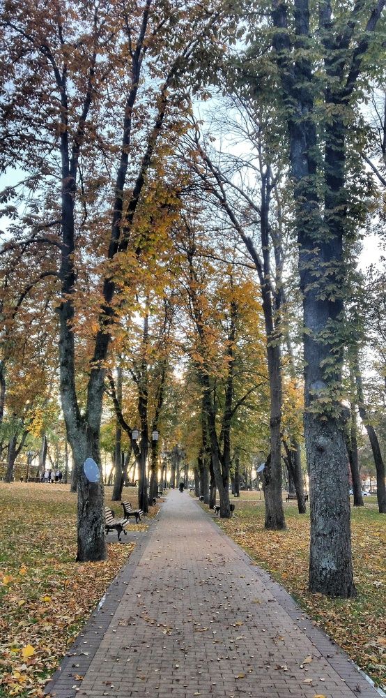 Photograph by Дарья