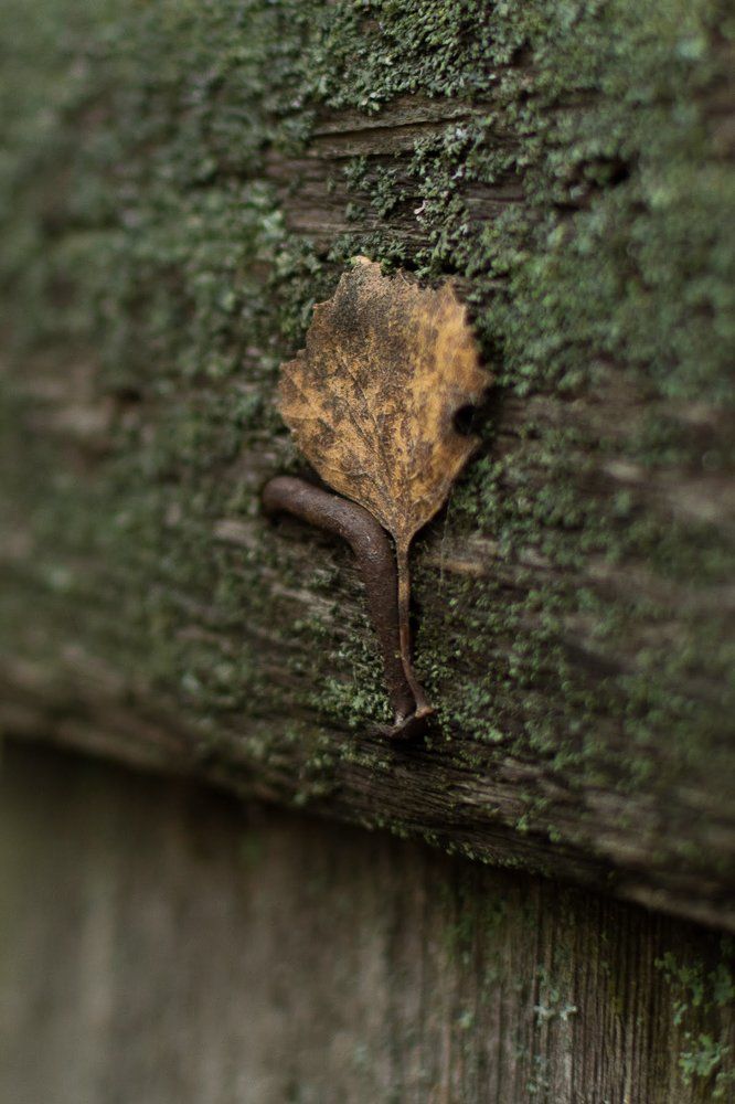 Photograph by Юлия Ефимова