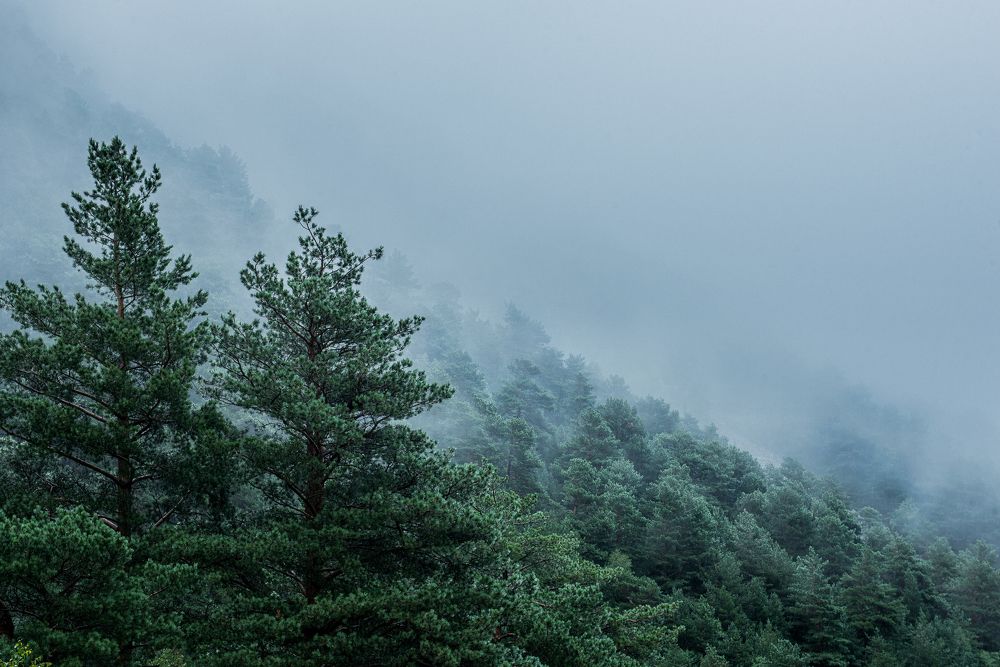 Photograph by ЕВГЕНИЙ РУДЕНКО