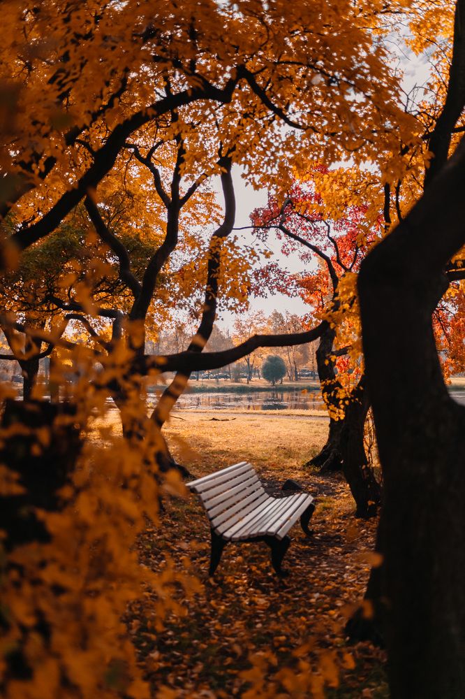 Photograph by Анастасия Курская