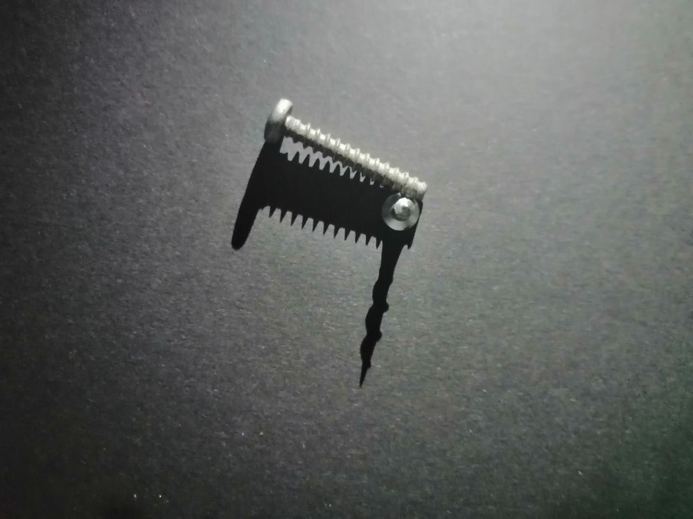 Photograph by Дарья Демина