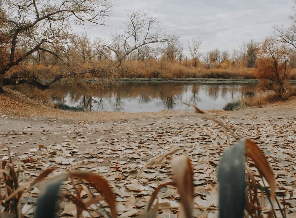 Photograph by Андрей Астафьев