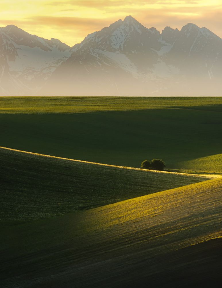 Photograph by David Ilkovic