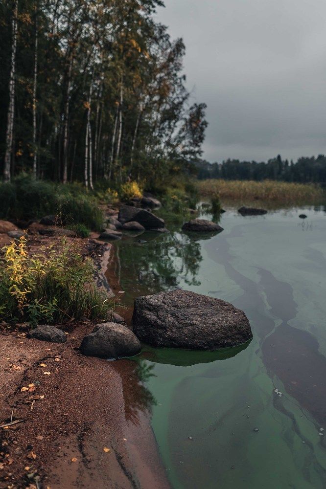 Photograph by Анастасия Курская