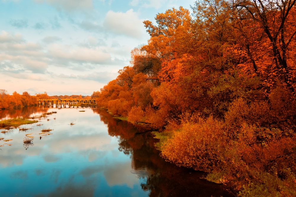 Фотография автора Oleg Podlesnykh