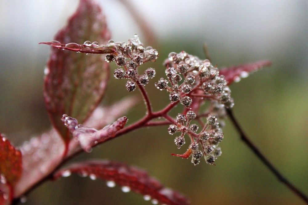 Photograph by Светлана Веселовская