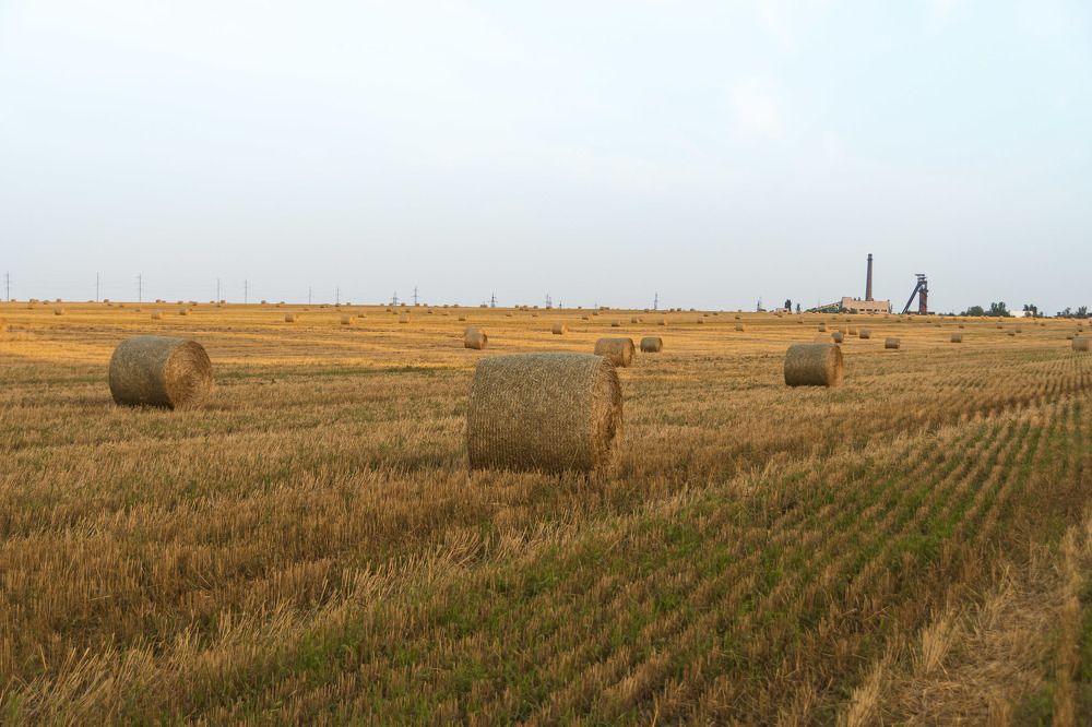 Photograph by Леонид Соснин