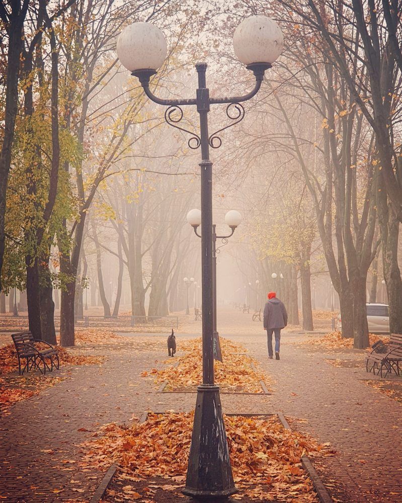 Photograph by Вадим Семенов