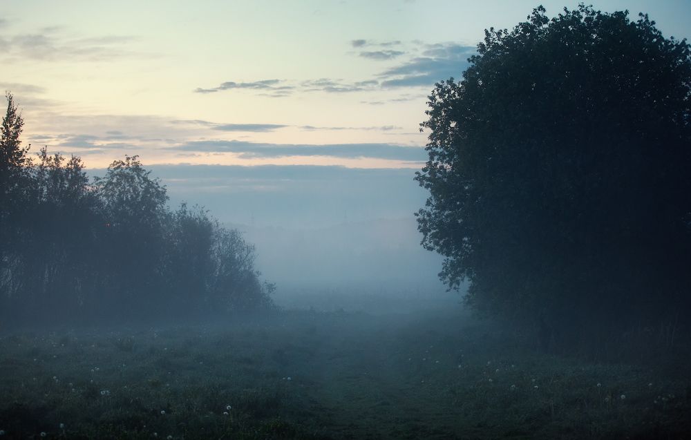 Photograph by dmihel