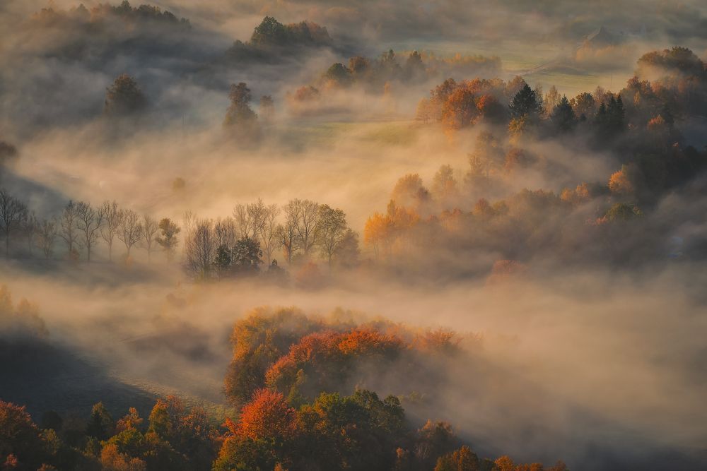 Photograph by Leszczyński Huber