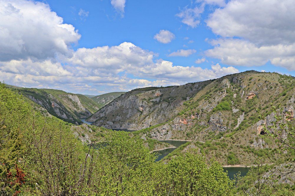 Photograph by Suncica Andrejevic