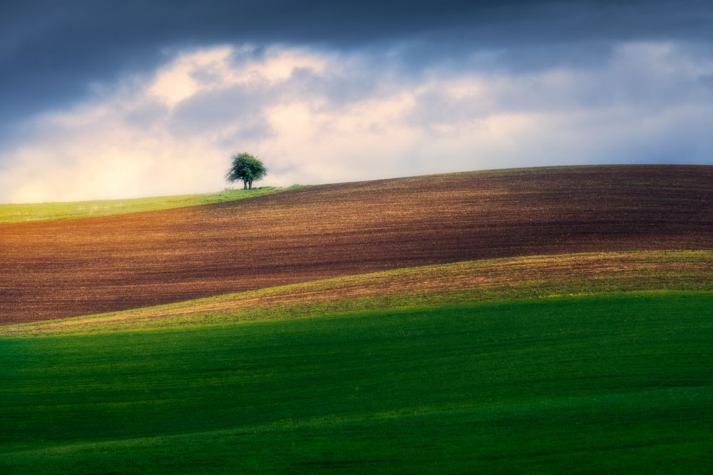 Photograph by David Ilkovic