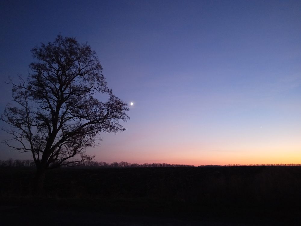 Photo #6733142