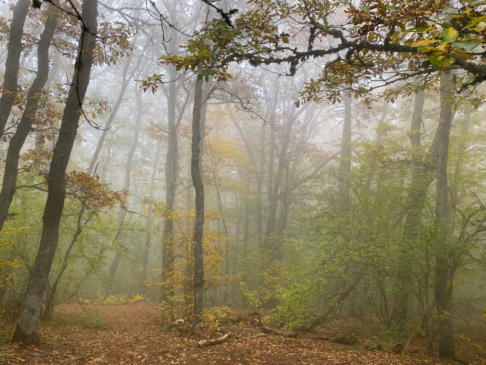 Photograph by Дарья Ефимова