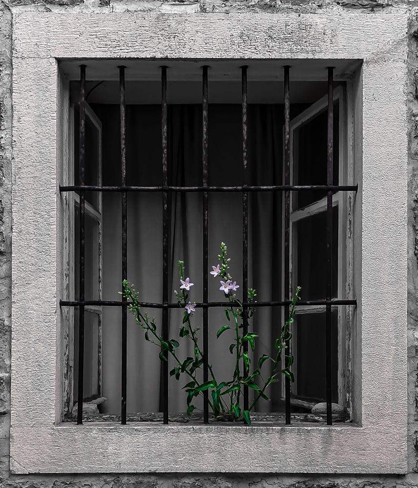 Photograph by Дмитрий Лобанов