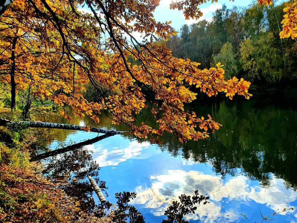 Photograph by Ева К.