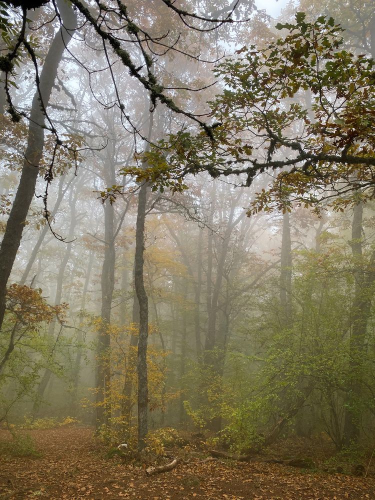 Photograph by Дарья Ефимова