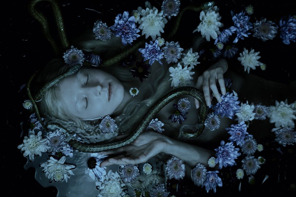 Фотография автора Nina Ippolitova