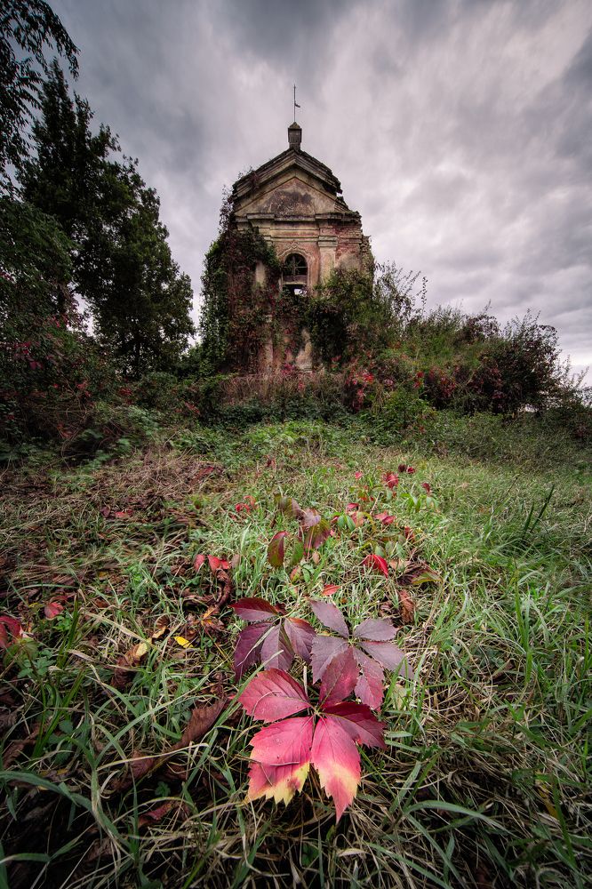 Photograph by Antonio Pedroni