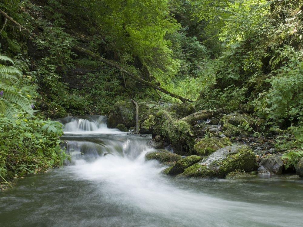 Фотография автора Валерий Егоров