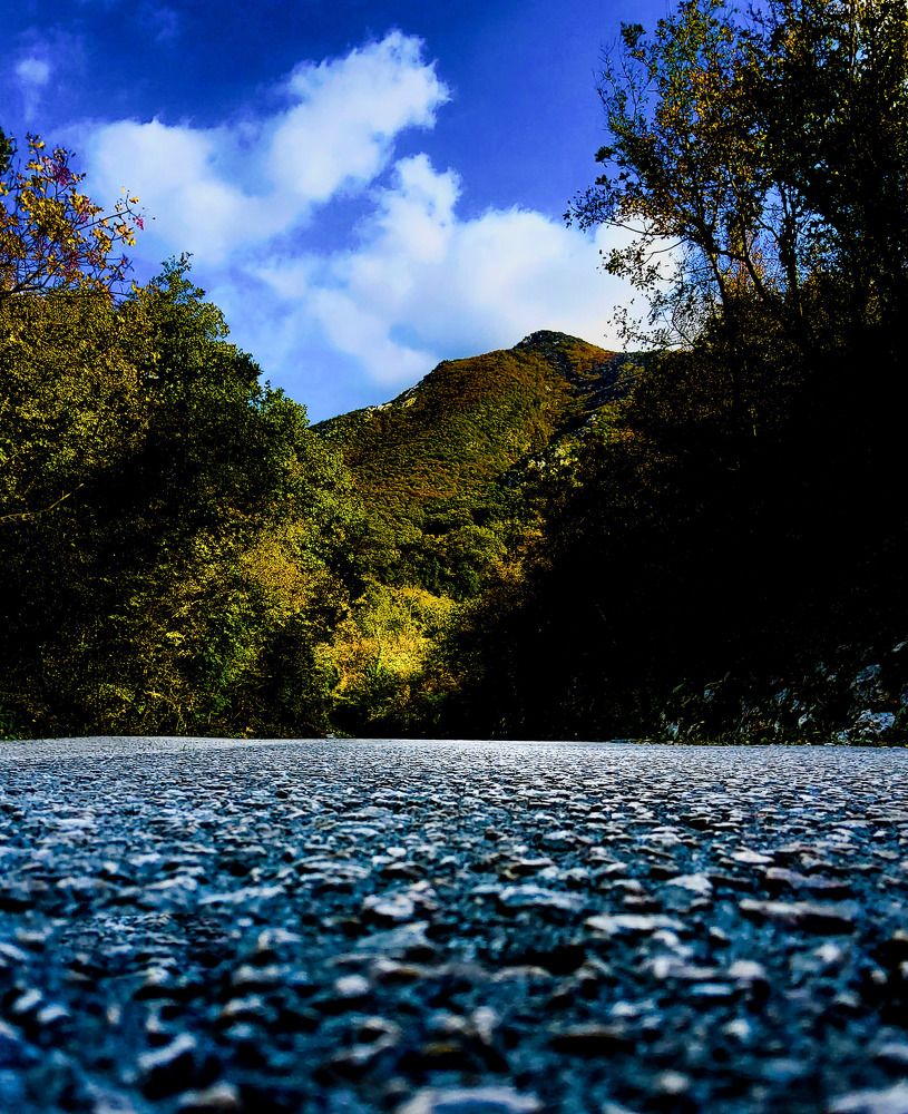 Photograph by Дмитрий Лобанов