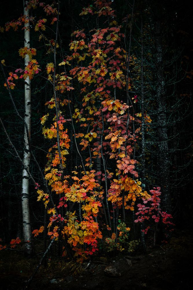 Photograph by Даниил Силантьев