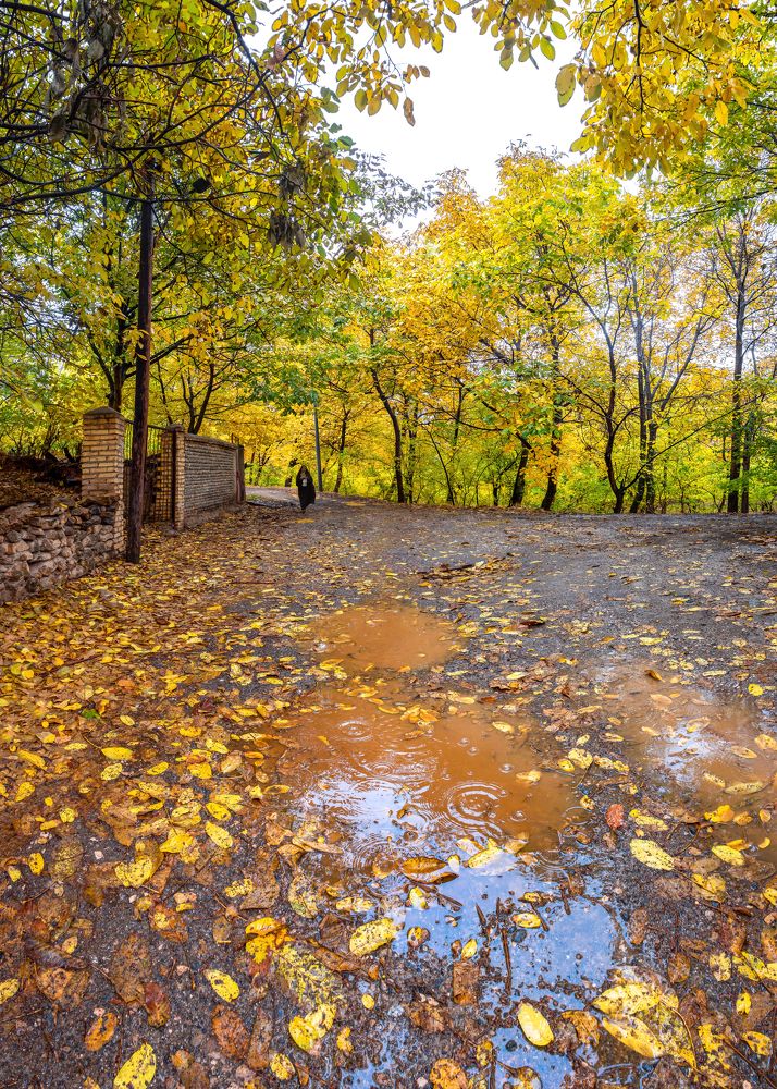 Фотография автора majid arab