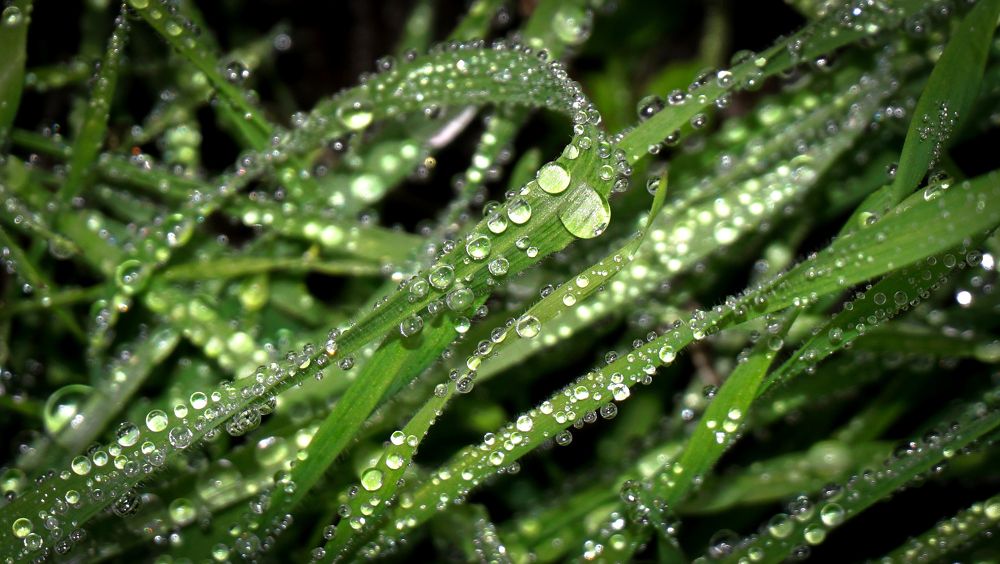 Photograph by Ави Христова