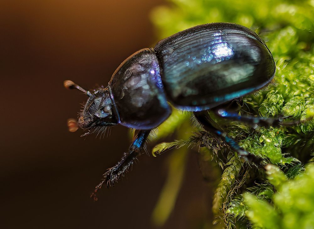 Photograph by Wendy Vanhoudt