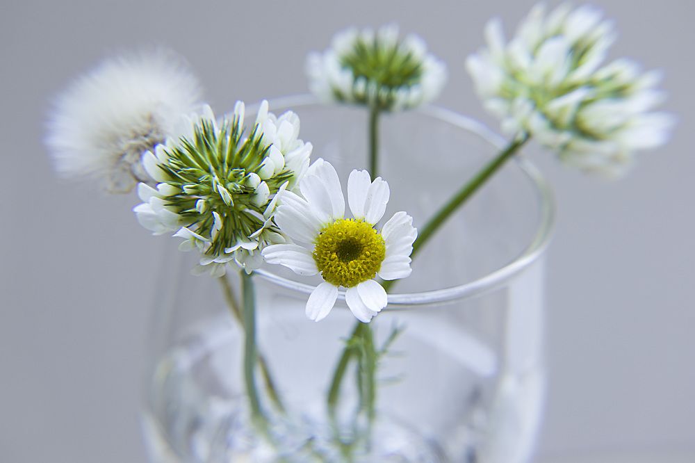 Photograph by Татьяна Новикова