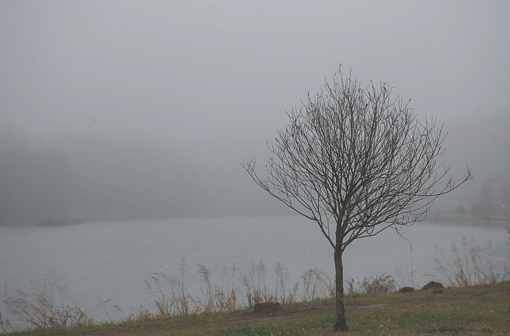 Фотография автора Alena Makushina