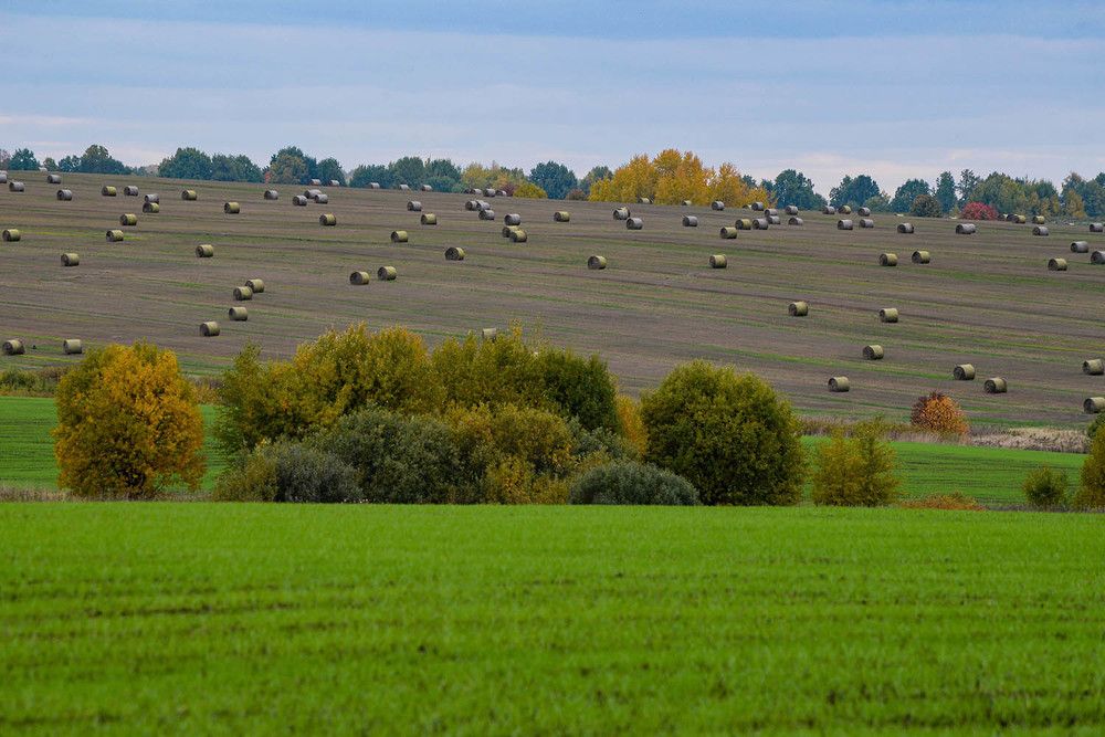 Photograph by Эдуард Шадров